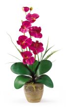 Single Stem Phalaenopsis Silk Orchid Arrangement, Beauty