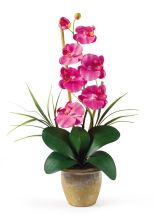 Single Stem Phalaenopsis Silk Orchid Arrangement, Dark Pink