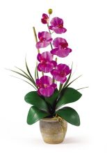 Phalaenopsis Silk Orchid Arrangement