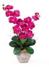 Double Stem Phalaenopsis Silk Orchid Arrangement, Beauty
