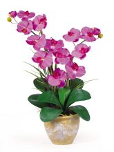 Double Stem Phalaenopsis Silk Orchid Arrangement, Orchid