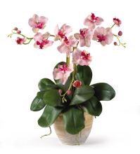 Triple Mini Phalenopsis Silk Orchid Arrangement, Pink White