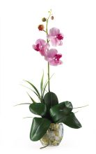 Mini Phalaenopsis Silk Orchid Arrangement, w/Liquid Illusion, Lavender