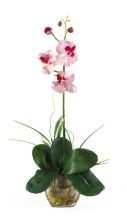 Mini Phalaenopsis Silk Orchid Arrangement, w/Liquid Illusion, Pink White