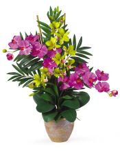 Phalaenopsis/Dendrobium Silk Flower Arrangement, Orchid/Green