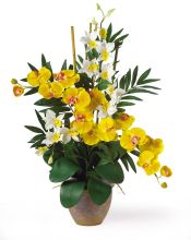Phalaenopsis/Dendrobium Silk Flower Arrangement, Yellow/Cream