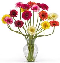 1086 AS Gerbera Daisy Liquid Illusion Silk Flower Arrangement Mixed