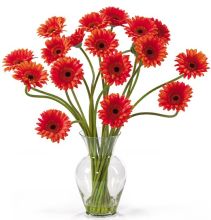 1086 OR Gerbera Daisy Liquid Illusion Silk Flower Arrangement Orange