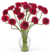 Gerbera Daisy Silk Flower Arrangement, w/Liquid Illusion, Red