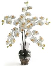 Phalaenopsis Silk Flower Arrangement, w/Liquid Illusion, Cream