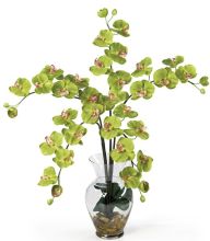Phalaenopsis Silk Flower Arrangement, w/Liquid Illusion, Green