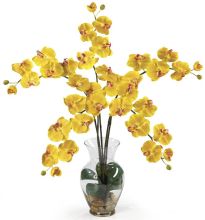 Phalaenopsis Silk Flower Arrangement, w/Liquid Illusion, Yellow