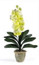 1112 WH - Single Stem Vanda Orchid Silk Flower Arrangement White