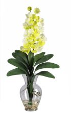 1123 WH - Vanda Orchid Liquid Illusion Silk Flower Arrangement White