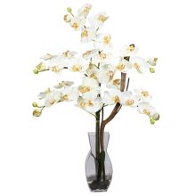 1191 CR - Phalaenopsis w/Vase Silk Flower Arrangement - Cream