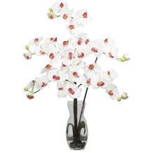 1191 WH - Phalaenopsis w/Vase Silk Flower Arrangement - White