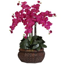 Large Phalaenopsis Silk Flower Arrangement - Beauty
