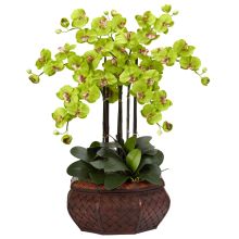 Large Phalaenopsis Silk Flower Arrangement - Green