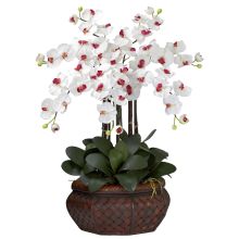 Large Phalaenopsis Silk Flower Arrangement - White