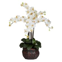 Phalaenopsis w/Decorative Vase Silk Flower Arrangement - Cream