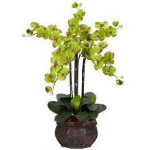 Phalaenopsis w/Decorative Vase Silk Flower Arrangement - Green
