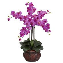 Phalaenopsis w/Decorative Vase Silk Flower Arrangement - Orchid
