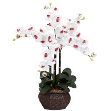 Phalaenopsis w/Decorative Vase Silk Flower Arrangement - White