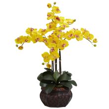 Phalaenopsis w/Decorative Vase Silk Flower Arrangement - Yellow
