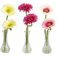 1248 A2 - Gerbera Daisy w/Bud Vase (Set of 3) CR/PK/BU