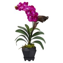 1252 BU - Vanda w/Black Hexagon Vase Silk Arrangement Beauty
