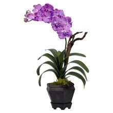 1252 PP - Vanda w/Black Hexagon Vase Silk Arrangement Purple