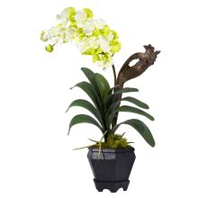 1252 WH - Vanda w/Black Hexagon Vase Silk Arrangement White