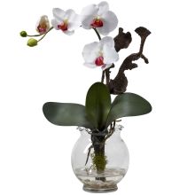 Mini Phalaenopsis w/Fluted Vase Silk Flower Arrangement, White