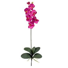 Phalaenopsis Orchid Silk Flower, w/Leaves (6 Stems) Beauty
