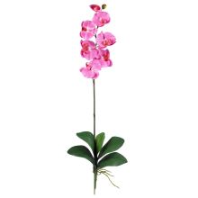 Phalaenopsis Orchid Silk Flower, w/Leaves (12 Stems) Dark Pink
