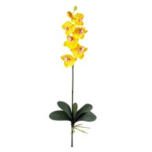 Phalaenopsis Orchid Silk Flower, w/Leaves 12 Stems) Gold