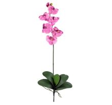 Phalaenopsis Orchid Silk Flower, w/Leaves (6 Stems) Mauve