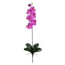 Phalaenopsis Orchid Silk Flower, w/Leaves (6 Stems) Orchid