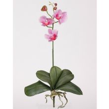 Mini Phalaenopsis Orchid Silk Flower, w/Leaves (6 Stems) Lavender