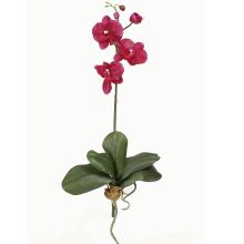 Mini Phalaenopsis Orchid Silk Flower, w/Leaves (6 Stems) Wine
