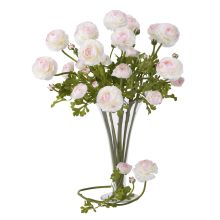 Ranunculus Silk Flower, 23" (Set of 12) White/Pink