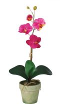 4065 BU - Potted Phalaenopsis Silk Orchid Arrangement Beauty