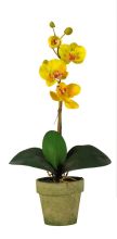 4065 YL - Potted Phalaenopsis Silk Orchid Arrangement Yellow