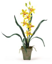 4066 - Potted Cymbidium Silk Orchid Arrangement (Set of 3)