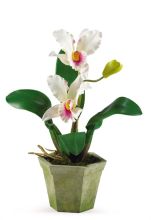 4067 Potted Cattelya Silk Orchid Arrangement (set of 3)