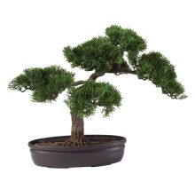 Cedar Bonsai Silk Plant 16"