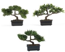 Bonsai Silk Plants Collection 12" (Set of 3)