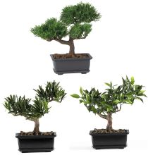 4122 - 8.5" Bonsai Silk Plant Collection (Set of 3) Green