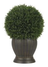 Cedar Ball Topiary Plant