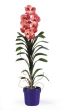 Vanda Silk Arrangement W/Blue Pot, Mauve